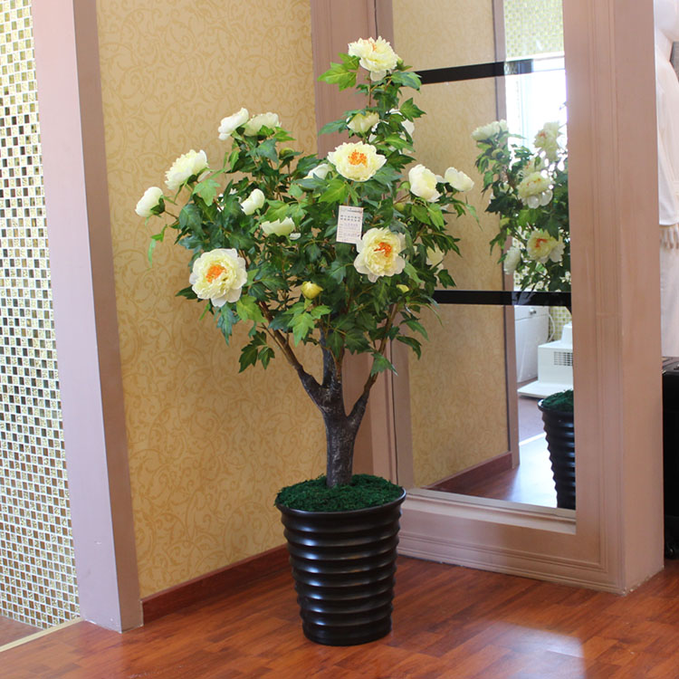 仿真乔木牡丹
