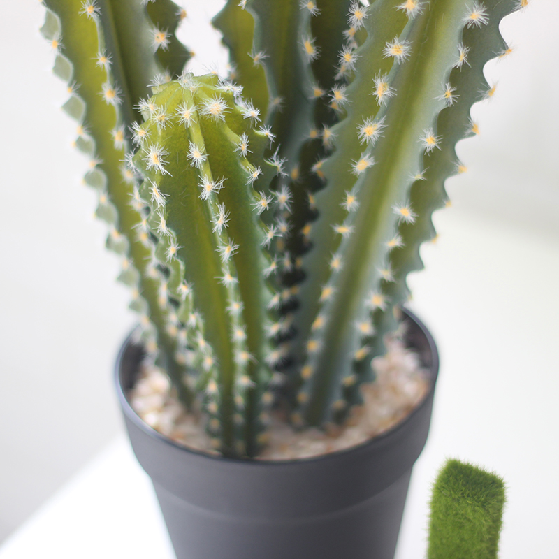 仿真爸棱仙人掌