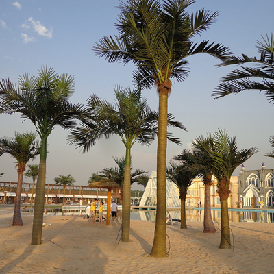 仿真椰子树大王椰