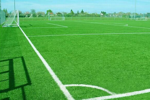 人造运动草坪